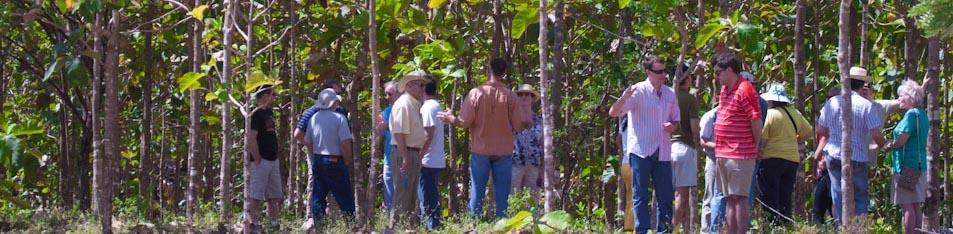 Panama Permanent Reforestation Residency